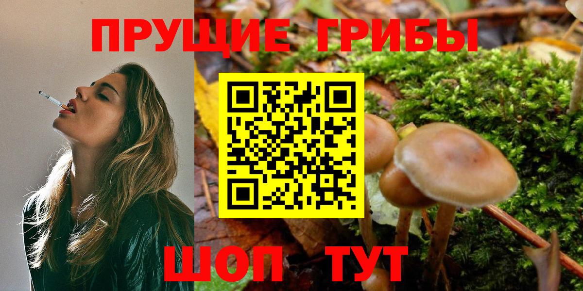 ГАШ Лянтор